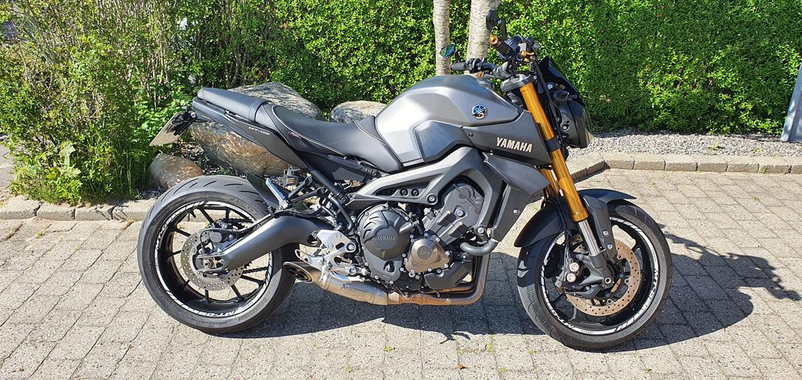 Yamaha MT-09 "SOLGT" billede 1