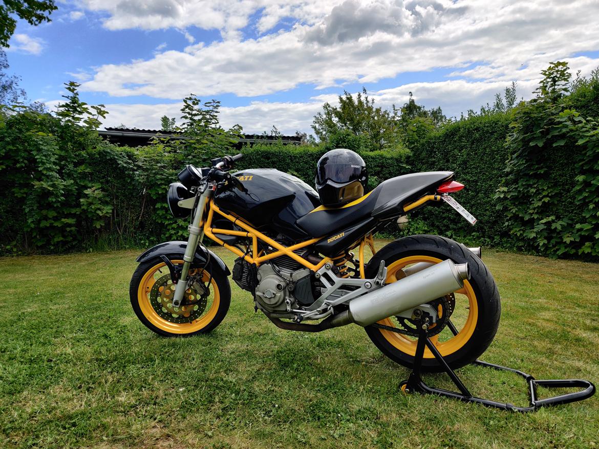 Ducati Monster Dark billede 1