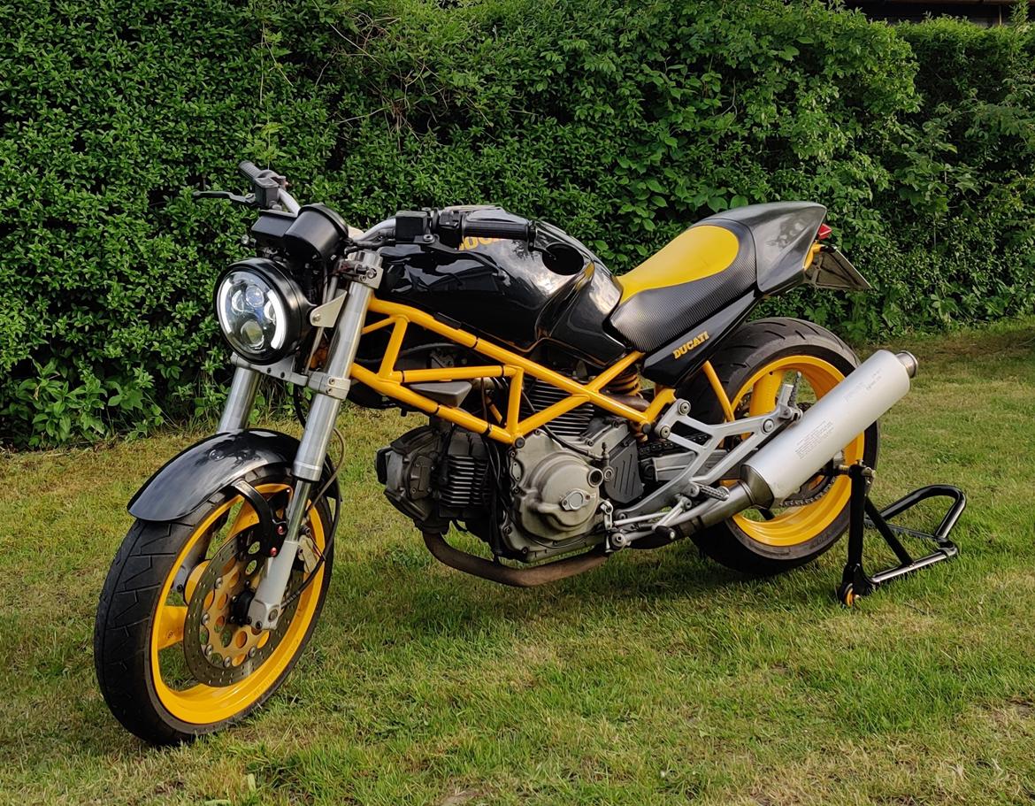 Ducati Monster Dark billede 8