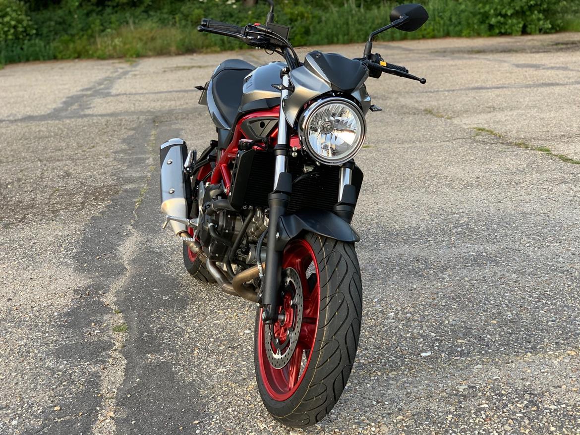 Suzuki SV650 billede 8