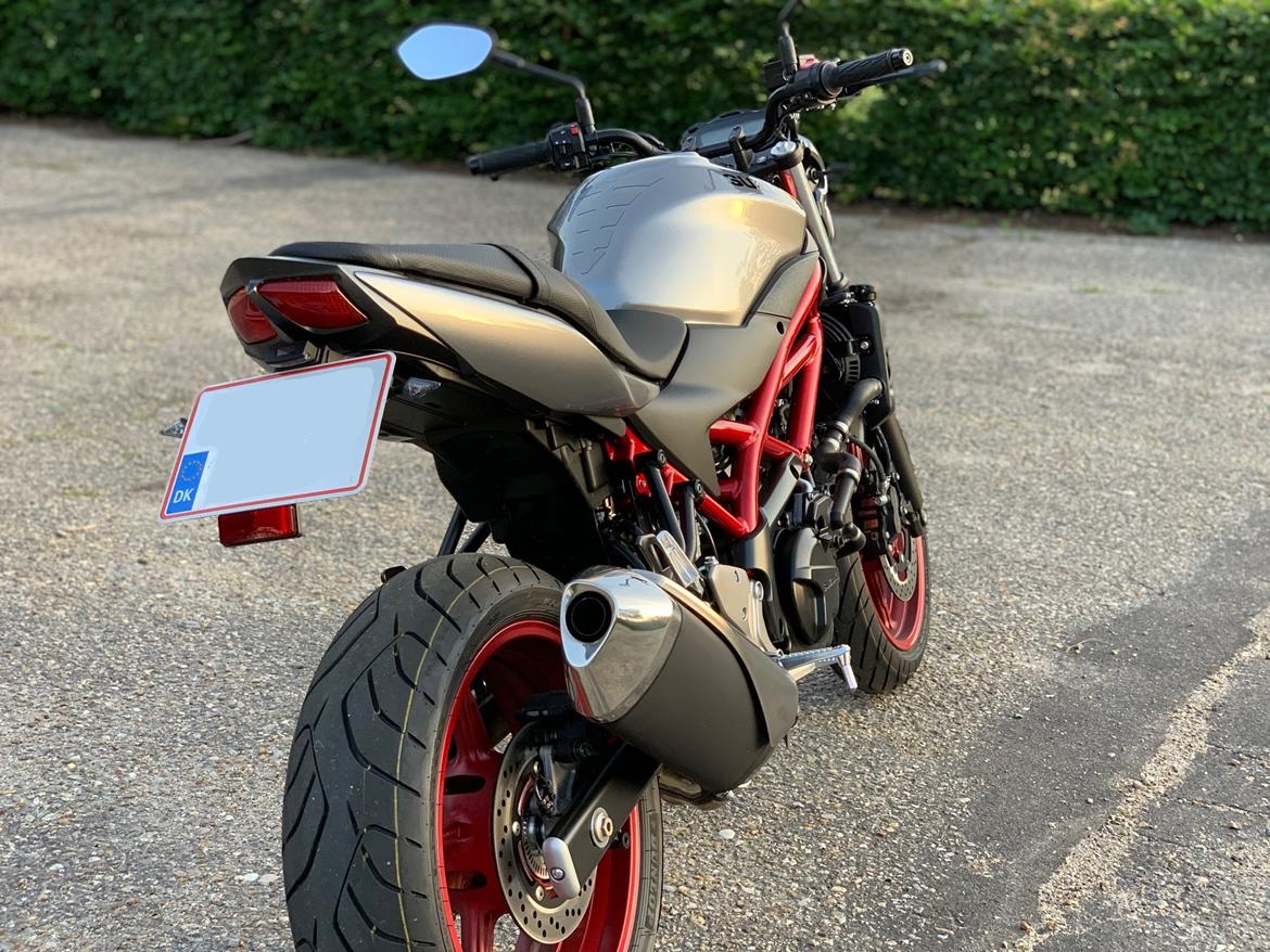 Suzuki SV650 billede 4