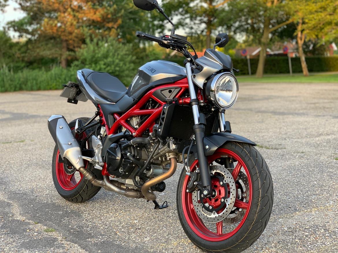 Suzuki SV650 billede 3