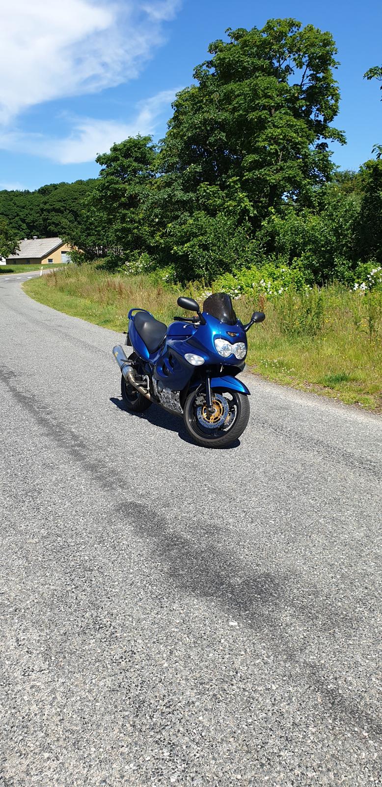 Suzuki gsxf 600 billede 19