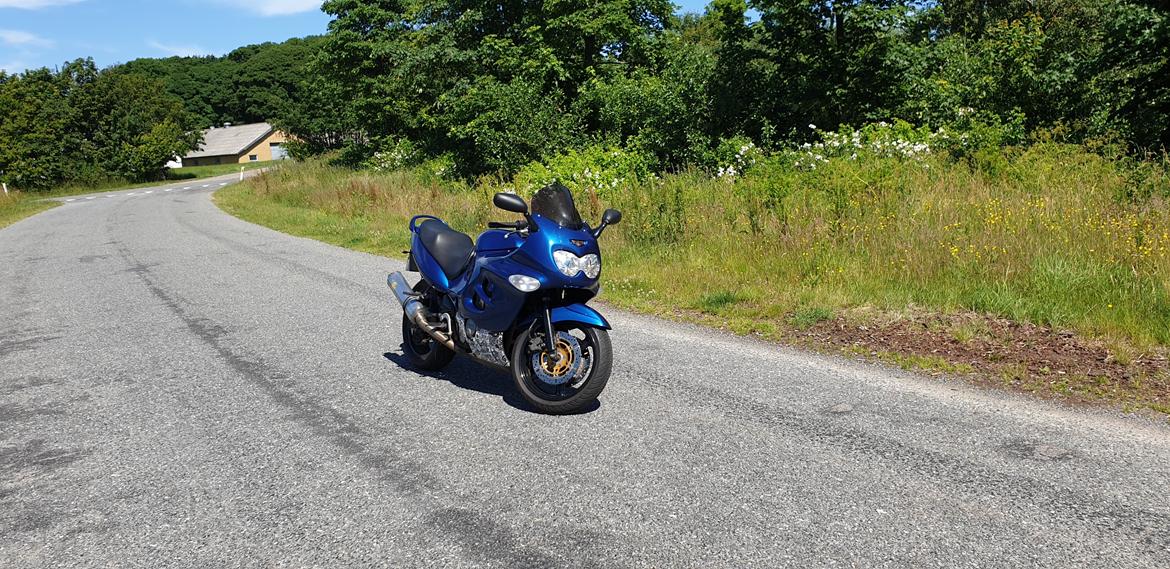 Suzuki gsxf 600 billede 20