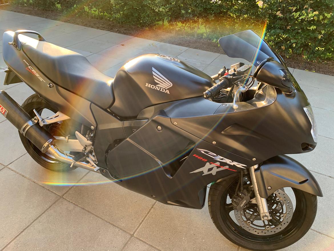 Honda CBR 1100 xx Blackbird (SOLGT) billede 1