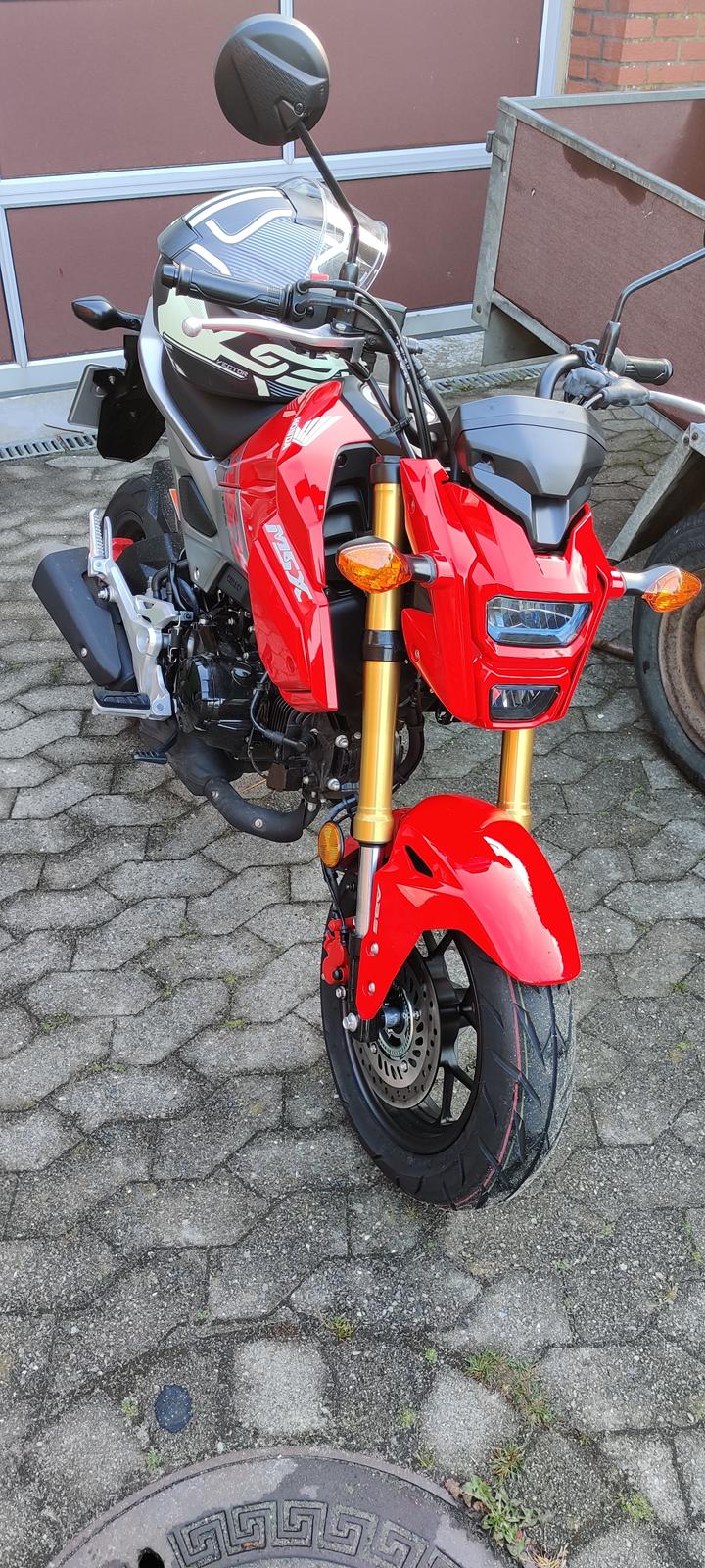 Honda GROM billede 1