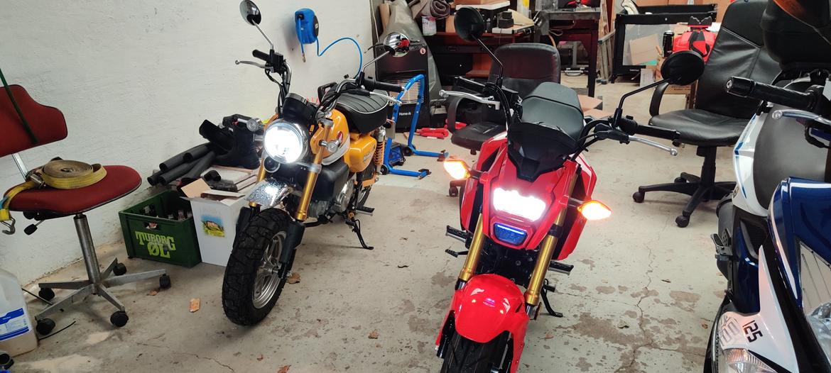 Honda GROM billede 5