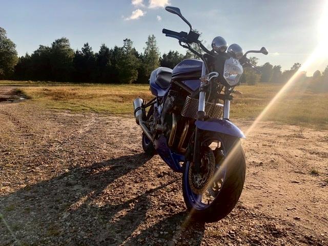 Suzuki GSF 600 Bandit billede 5