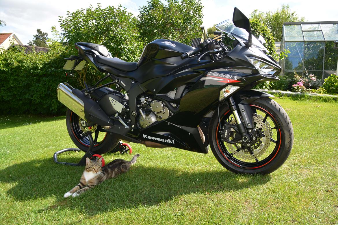 Kawasaki Zx6r billede 22