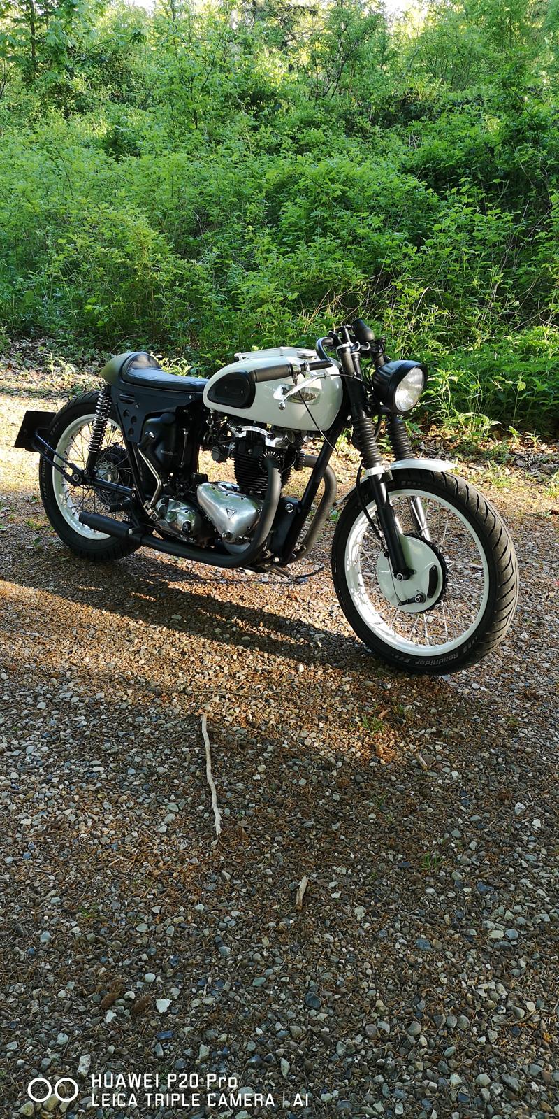 Triumph Speed twin  billede 4