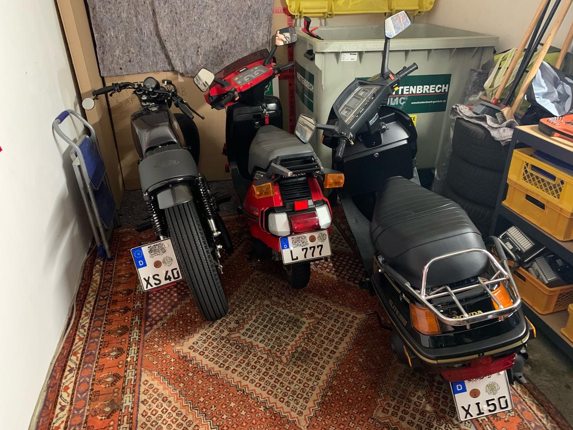 Honda CH250 Elite SOLGT 25. JAN. 2025 billede 21