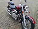 Suzuki suzuki intruder velusia