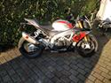 Aprilia Tuono V4 RR