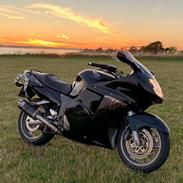 Honda CBR1100XX Super Blackbird