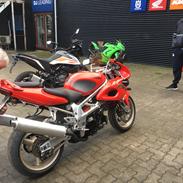 Suzuki Tl 1000 S