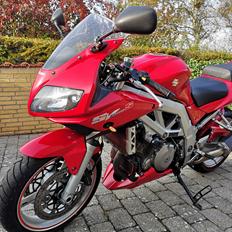 Suzuki SV1000S