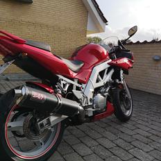 Suzuki SV1000S
