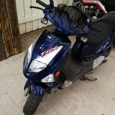 PGO T-Rex 150