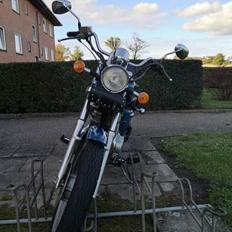 Regal Raptor Dadyw DD150E-2 *Vintercykel* solgt