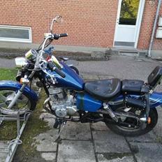 Regal Raptor Dadyw DD150E-2 *Vintercykel* solgt