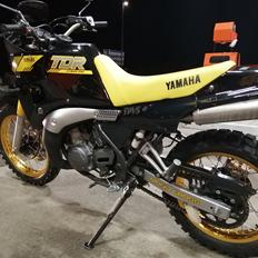 Yamaha TDR 250 Ultimate Dual.