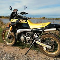 Yamaha TDR 250 Ultimate Dual.