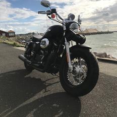 Harley Davidson Sporster Custom