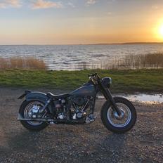 Harley Davidson FLH Electra Glide