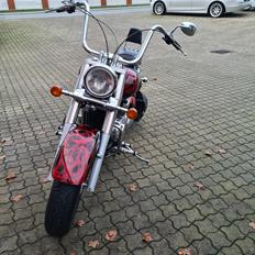 Suzuki suzuki intruder velusia 