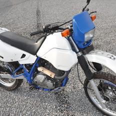 Suzuki DR650RE