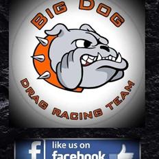 Harley Davidson FLH 1200 1975