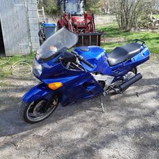 Kawasaki ZX-10 Tomcat
