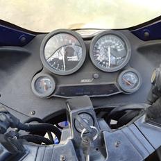 Kawasaki ZX-10 Tomcat