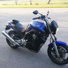 Yamaha BT 1100 Bulldog