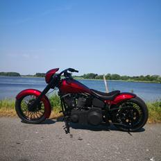 Harley Davidson softail 