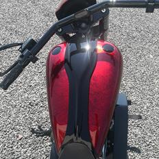 Harley Davidson softail 