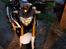 BMW G310R AKA Pinocchio -DØD-