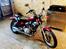 Yamaha XV 250 Virago 