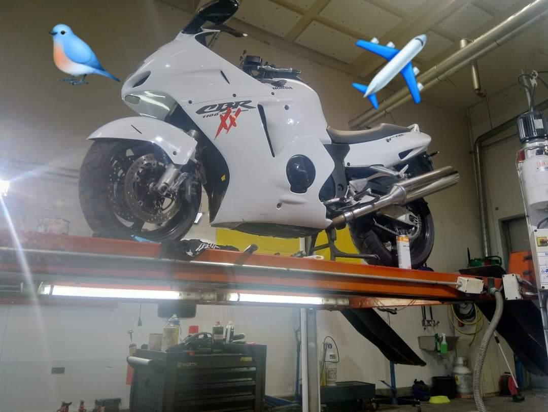 Honda Blackbird cbr 1100xx billede 4