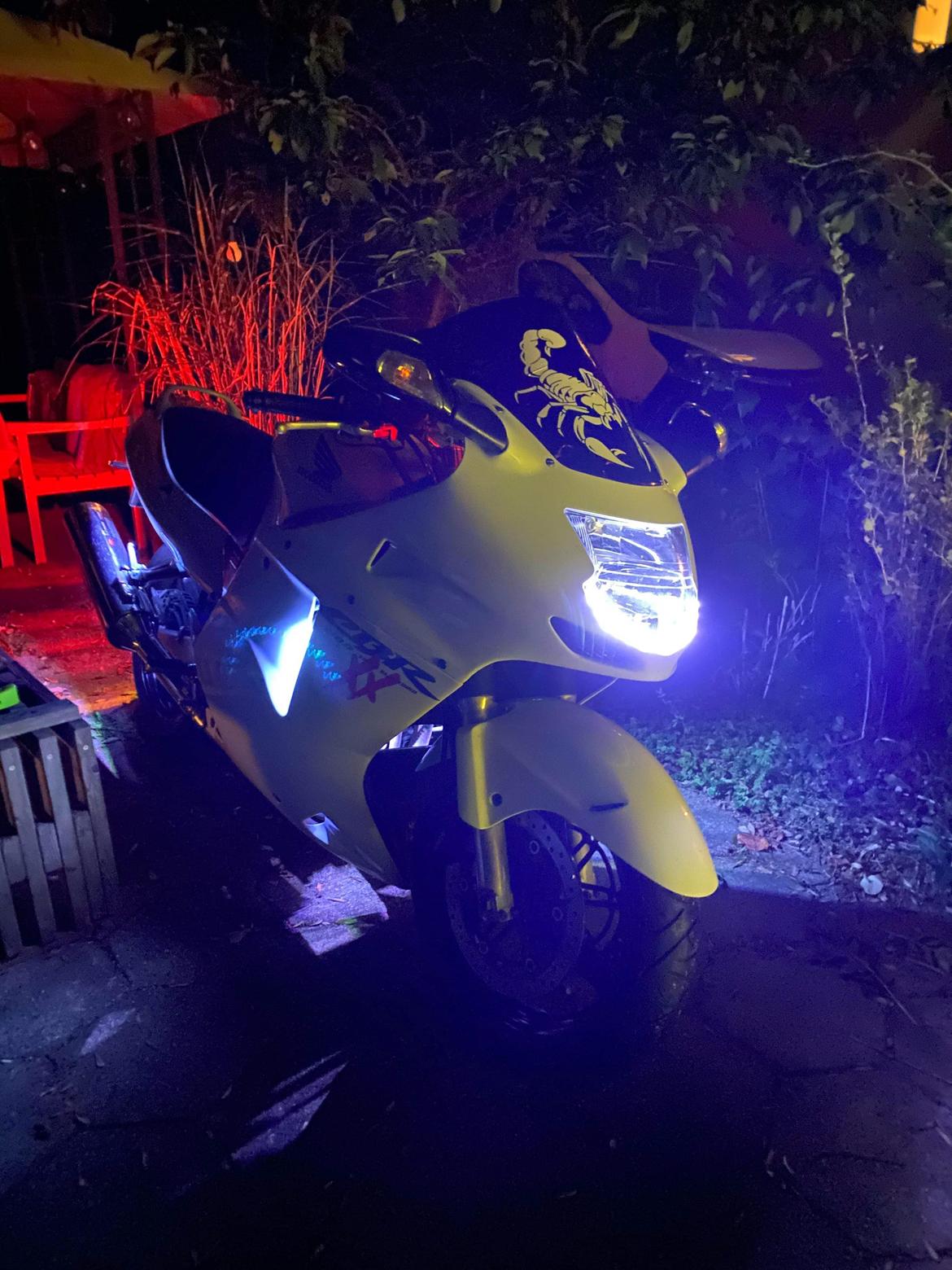 Honda Blackbird cbr 1100xx billede 8