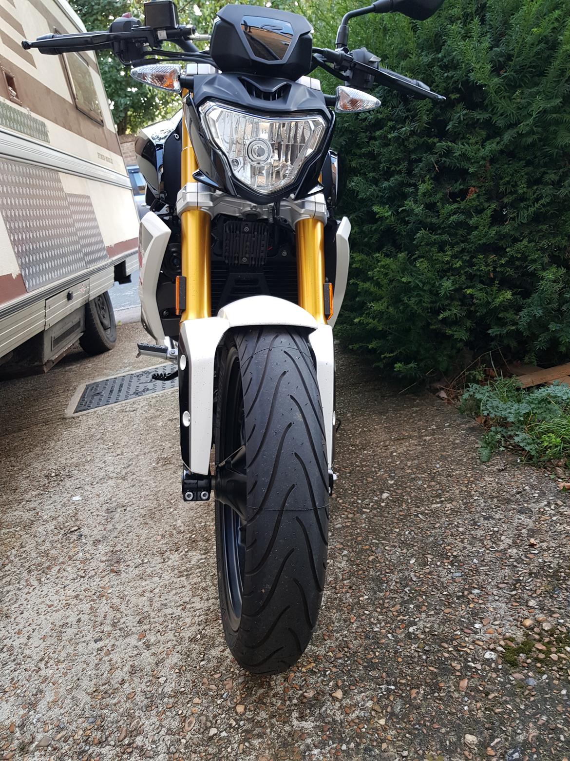 BMW G310R AKA Pinocchio -DØD- billede 5