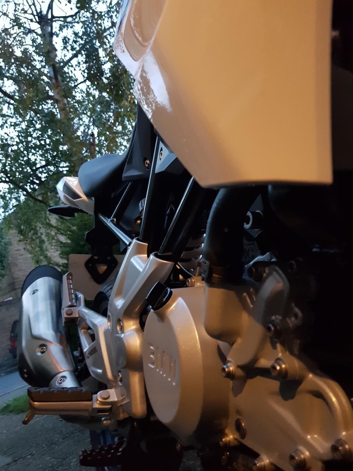 BMW G310R AKA Pinocchio -DØD- billede 11