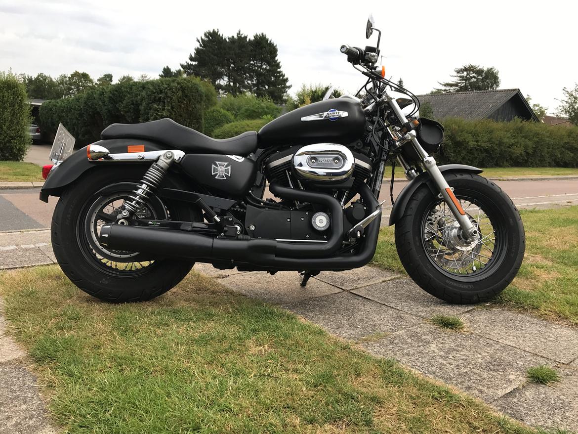 Harley Davidson Sporster Custom billede 14