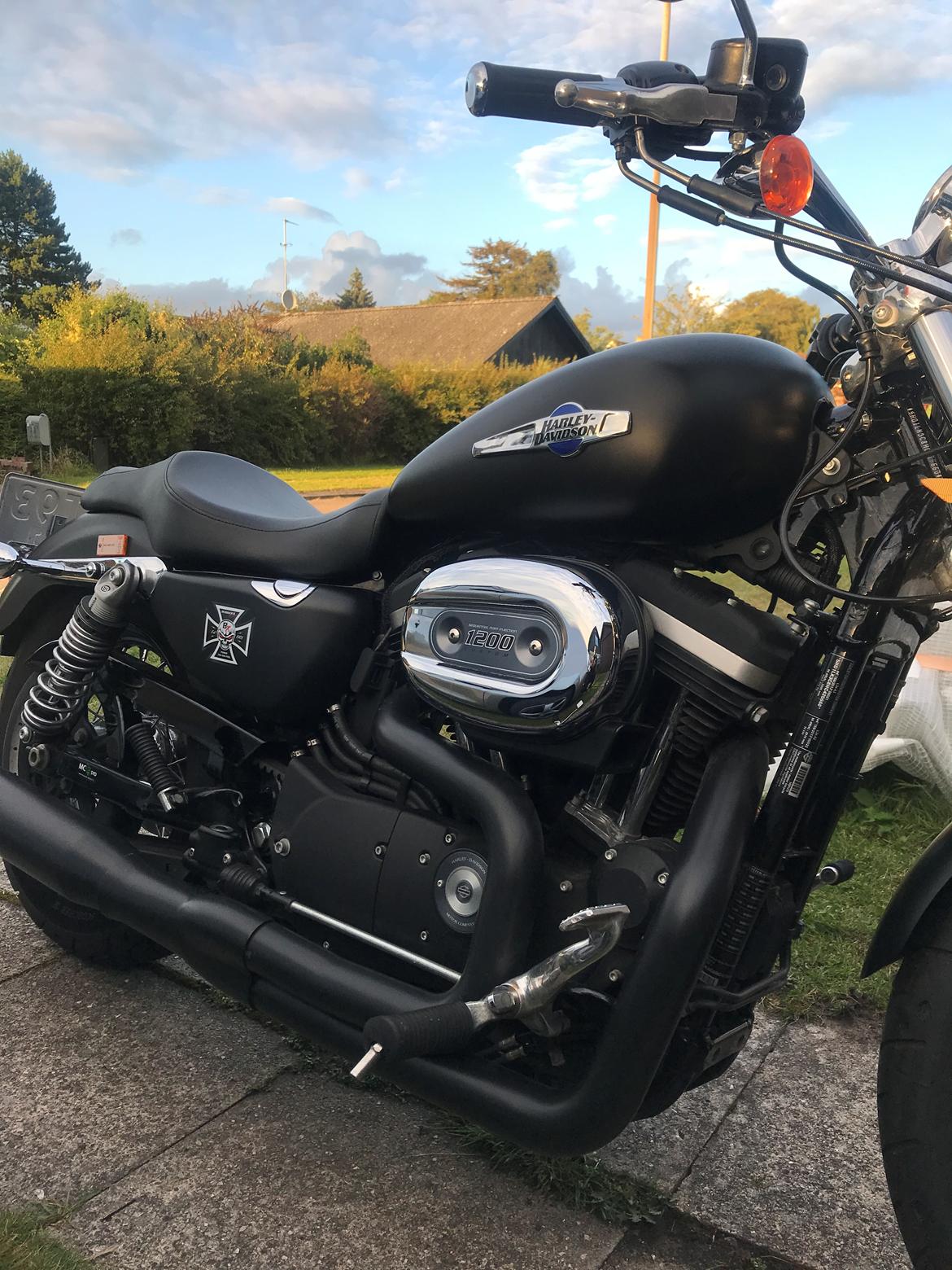 Harley Davidson Sporster Custom billede 16