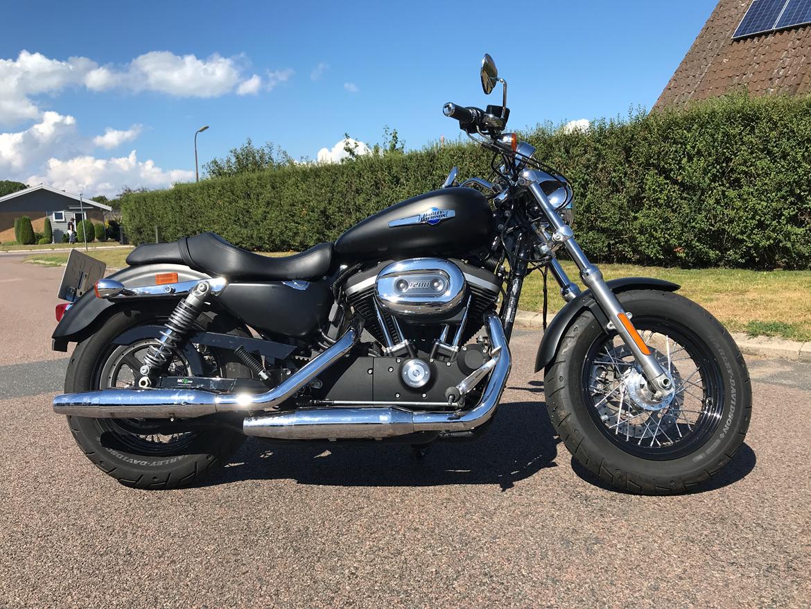 Harley Davidson Sporster Custom billede 18
