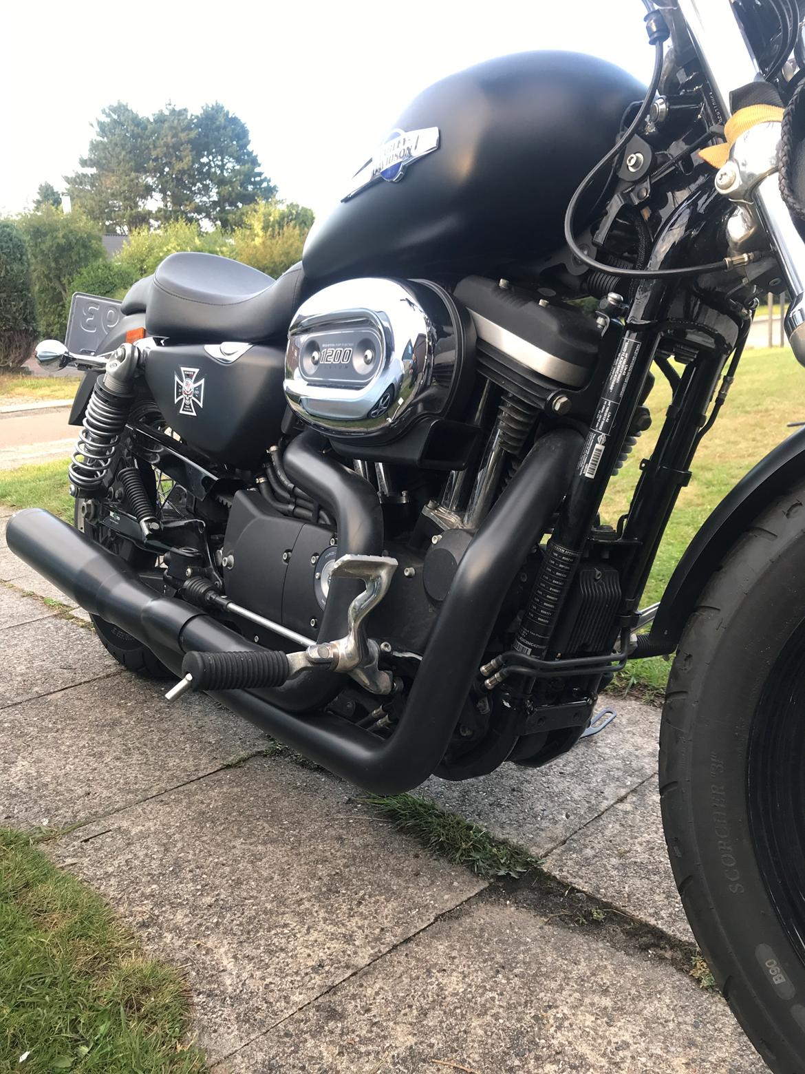 Harley Davidson Sporster Custom billede 15