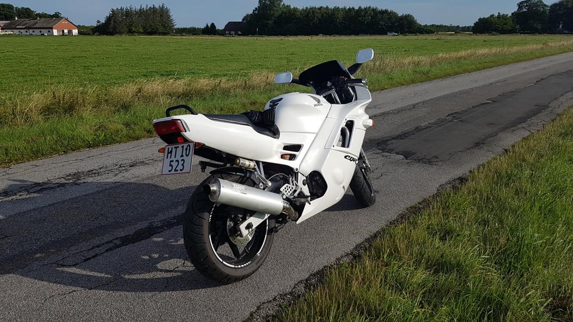 Honda Cbr 600 f2  billede 6