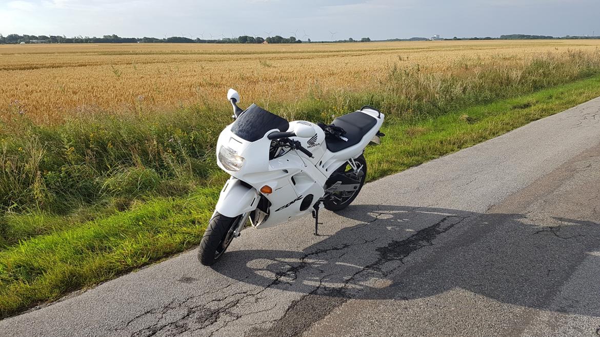 Honda Cbr 600 f2  billede 8