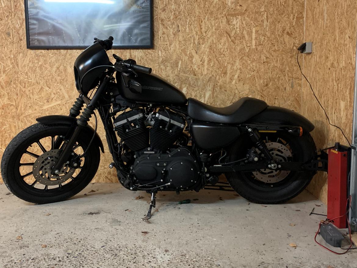 Harley Davidson Sportster 883 Iron billede 2