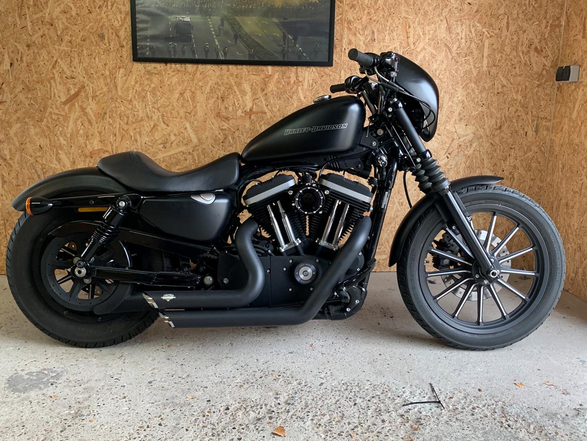 Harley Davidson Sportster 883 Iron billede 1